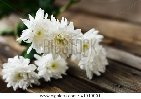 Fiori bianchi su fondo in legno stagionato