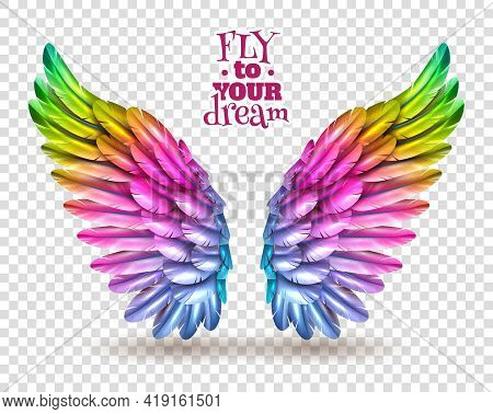 Pair Of Colorful Bird Wings Set Isolated On Transparent Background With Shadow Flat Vector Illustrat