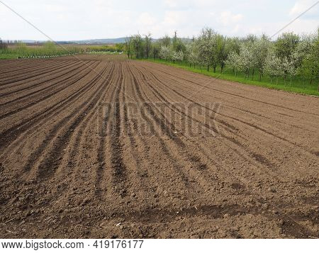 Landscape With Agricultural Land Plowed, Prepared For Harvest. Agricultural Landscape, Arable Land F