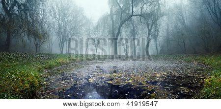 See im Wald