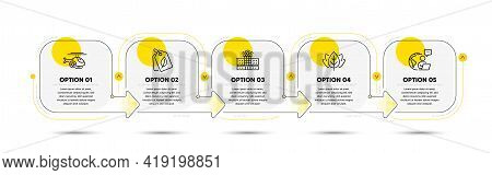Hospital Building, Organic Tested And Bio Tags Line Icons Set. Timeline Process Flowchart. Medical H