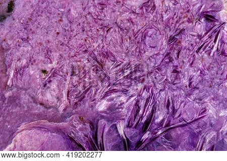 Macro Stone Mineral Charoite On A White Background Close Up