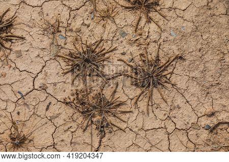 Nature Background Of Cracked Dry Lands. Natural Texture Of Soil With Cracks. Broken Clay Surface Of 