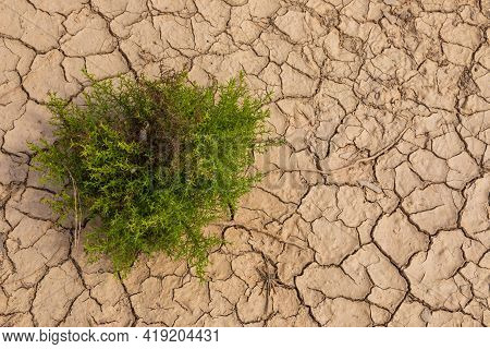 Nature Background Of Cracked Dry Lands. Natural Texture Of Soil With Cracks. Broken Clay Surface Of 