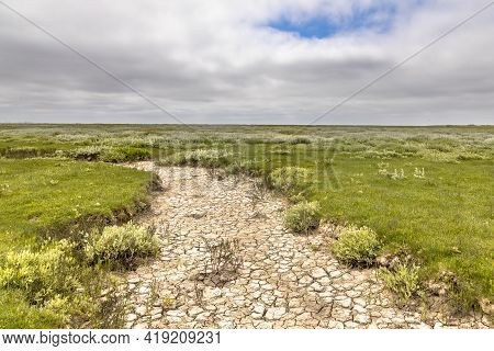 Tidal Marshland With Natural Meandering Drainage System On Wadden Island Of Ameland In Friesland, Ne