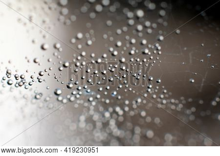 Natural background with spiderweb. Round spheric small waterdops on complicated entangled wet web th