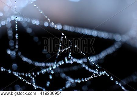 Natural Background With Spiderweb. Round Spheric Small Waterdops On Complicated Entangled Wet Web Th
