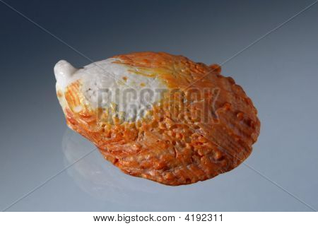 Powłoki