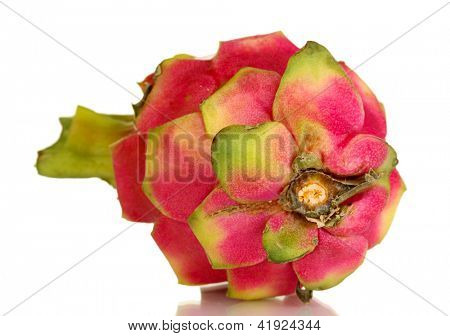 Pitahaya matura isolata on white