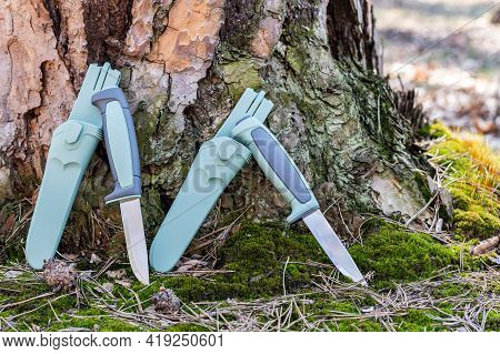 Two Similar Knives With Different Handles. Knives With Different Steel. Knives Standing By The Pine 
