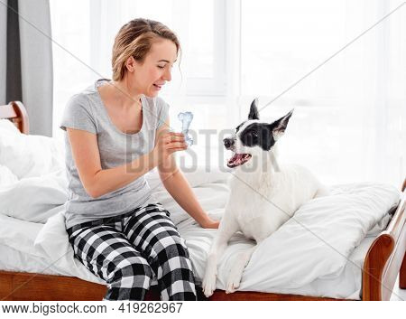 Beautiful girl wearing pajamas sitting in the bed and playing with cute doggy holdiing toy bone in her hands. Young woman at home with pet in morning time
