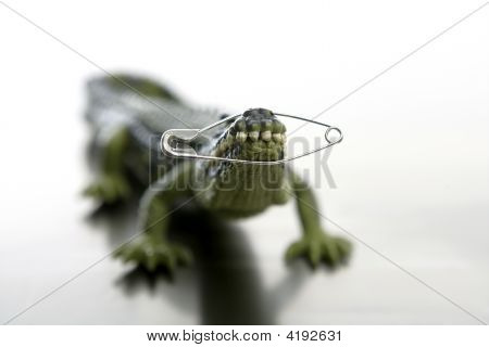Toy Cocodrile, Aligator mit Pin schließen seine Kiefer