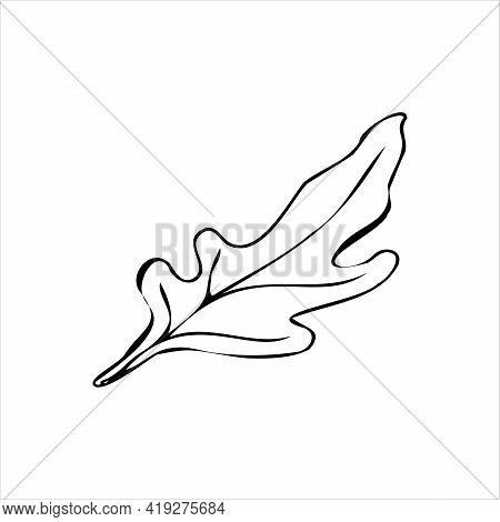 Vector Image Of Spinach Leaf In Doodle Style