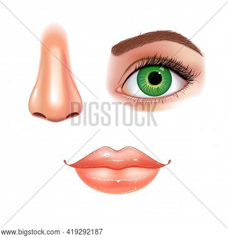 Set Of Beautiful Female Eye With Extended Eyelashes, Nose And Shining Mouth With Glossy Lips. White 