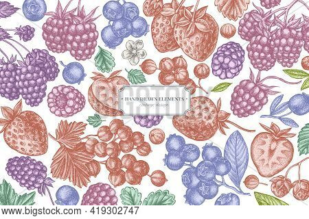 Design With Pastel Colored Strawberry, Blueberry, Red Currant, Raspberry, Blackberry Stock Illustrat