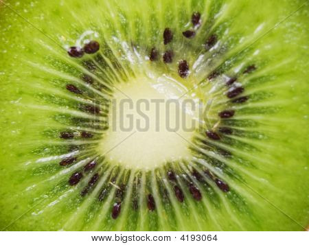Kiwi2