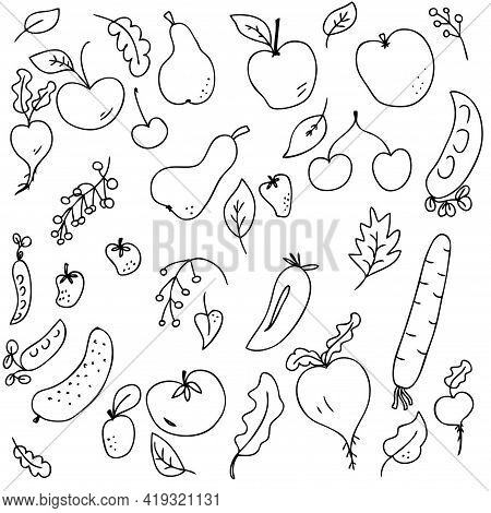 Vector Pattern Of Cute Ripe Summer Vegetables And Fruits Harvest