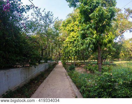Picnic Hut Near Ashok Vihar In Delhi, India. Due To Coronavirus Pandemic Very Less Visitors.