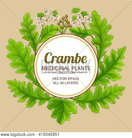 Crambe Plant Vector Frame On Color Background