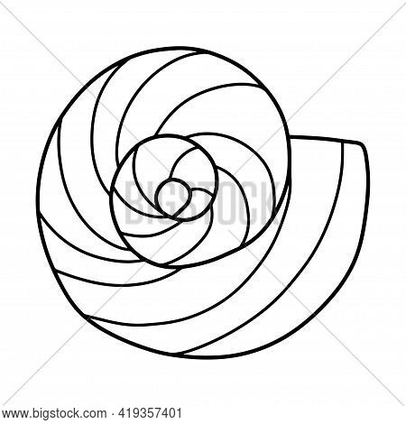 Hand-drawn Doodle Spiral Seashell Stock Vector Illustration. Funny Printable Coloring Page For Kids 