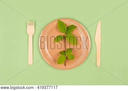 Flat Lay Composition With Eco-friendly Tableware - Paper Plate And Wooden Cutlery On Green Backgroun