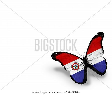 Paraguayský vlajky Butterfly, izolovaných na bílém pozadí