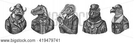 Buffalo Bull In Hat. Dinosaur Allosaurus Tyrex Quiz Gentleman. Sheep Drinks Beer. Bear In Russian Fu