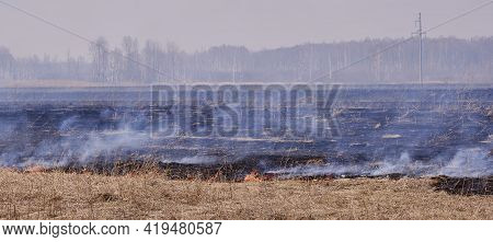 In The Spring, Dry Grass Burns On The Field. Grassroots Natural Fire.