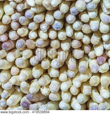 Head Of Fresh Aspargus At The Food Market In Detail