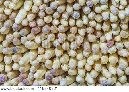 Head Of Fresh Aspargus At The Food Market In Detail