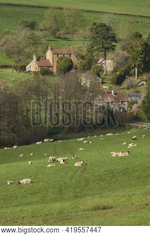 Sheep And Lambs In Lush Green Fields Of The Woolley Valley, An Area Of Outstanding Natural Beauty In