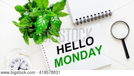 On A Light Background, There Is A White Alarm Clock, A Magnifying Glass, A Green Plant And A Noteboo