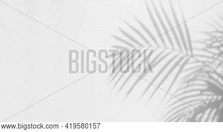 Abstract Background With Shadow Of Tropical Palm Leaves. Creative Minimal Summer Travel Concept With