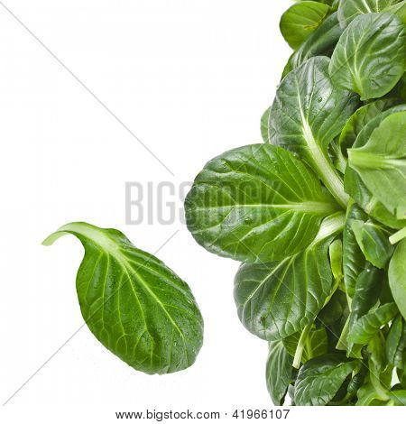 čerstvé zelené listy špenátu nebo pak choi izolovaných na bílém pozadí