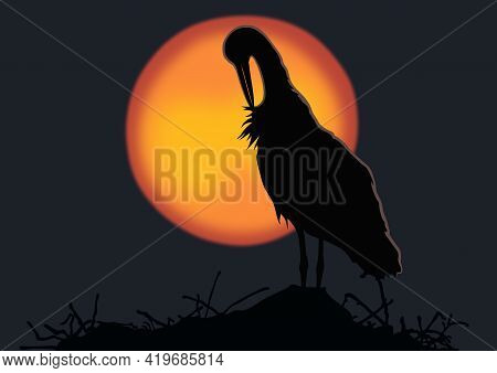 Vector Image. Elegant White Stork Stands In The Nest At Sunset