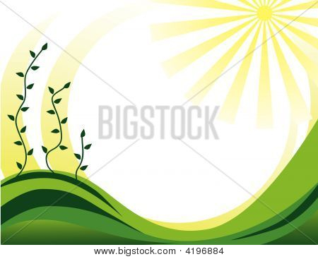 Vegetation Ornament aus der Sonne