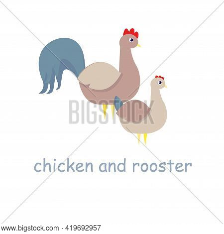 Chicken And Rooster Farm Bird Art Design Elements Stock Vector Illustration