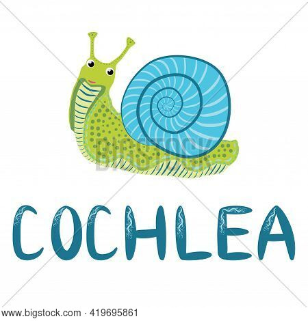 Blue Snail Beautiful Character, Scandinavian Style, Hand Drawn And Signed Cochlea