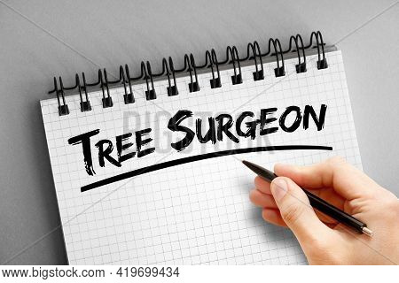 Tree Surgeon Text On Notepad, Concept Background