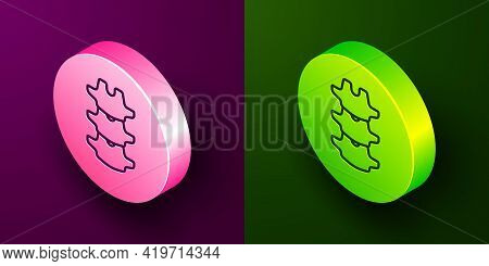 Isometric Line Human Spine Icon Isolated On Purple And Green Background. Circle Button. Vector
