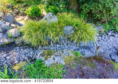 A Landscape Shot Of A Dry Creek Bed In Seatac, Washington.