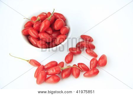 Goji Beeren (Lycium Barbarum)