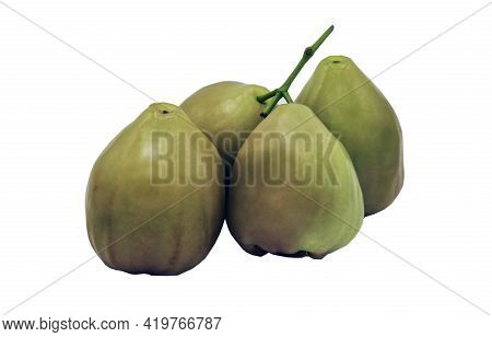 Green Rose Apples Or Green Water Apples 