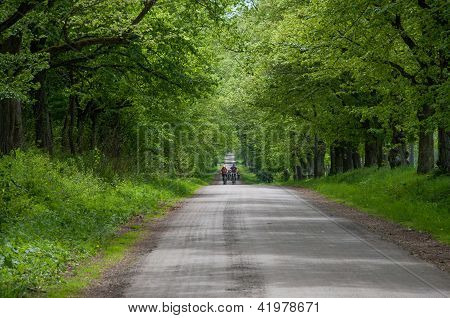 Polna droga z rowerzystów