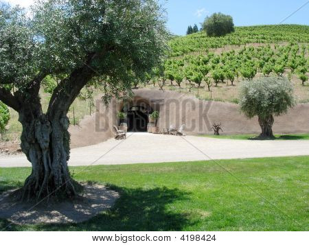 Winecave