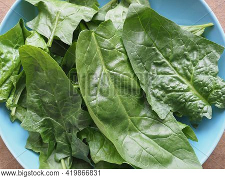Green Spinach Leaves