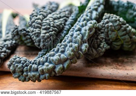 Cooking With Black Flat Leaves Of Cavolo Nero Tuscan Cabbage