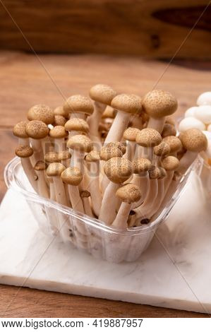 Shimeji Edible Mushrooms Native To East Asia, Buna-shimeji Is Widely Cultivated And Rich In Umami Ta
