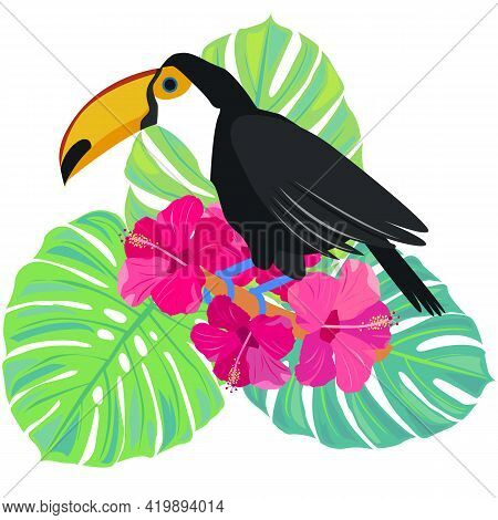 Toucan. Tropical Bird. Monstera Leaves. Exotic Leaves And Flowers. Stock Vector Illustration Isolate