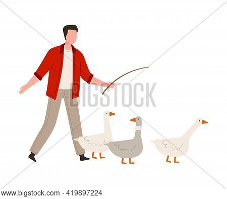 Man Farmer With Whip Punching Geese Vector Illustration